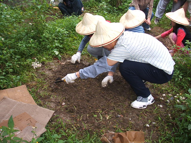 2008園藝治療工作坊