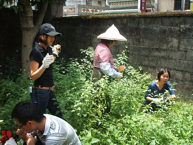 2008園藝治療工作坊