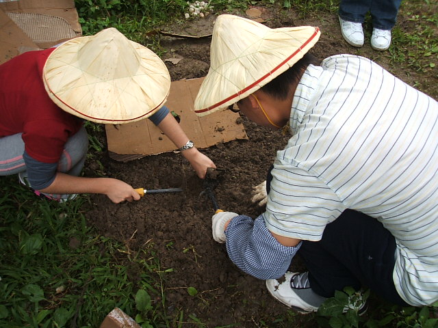 2008園藝治療工作坊